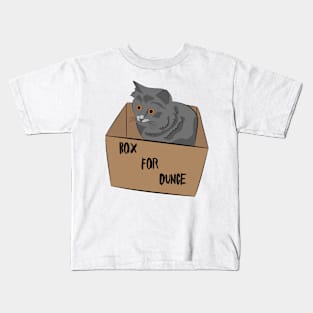 Cat in a Box Kids T-Shirt